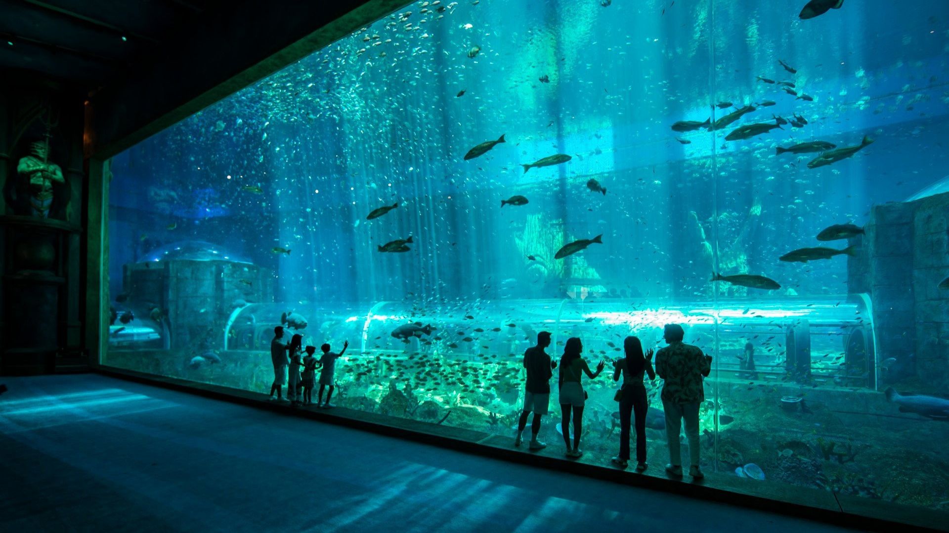 Không gian bên trong thủy cung như “mỹ cảnh nhân gian”