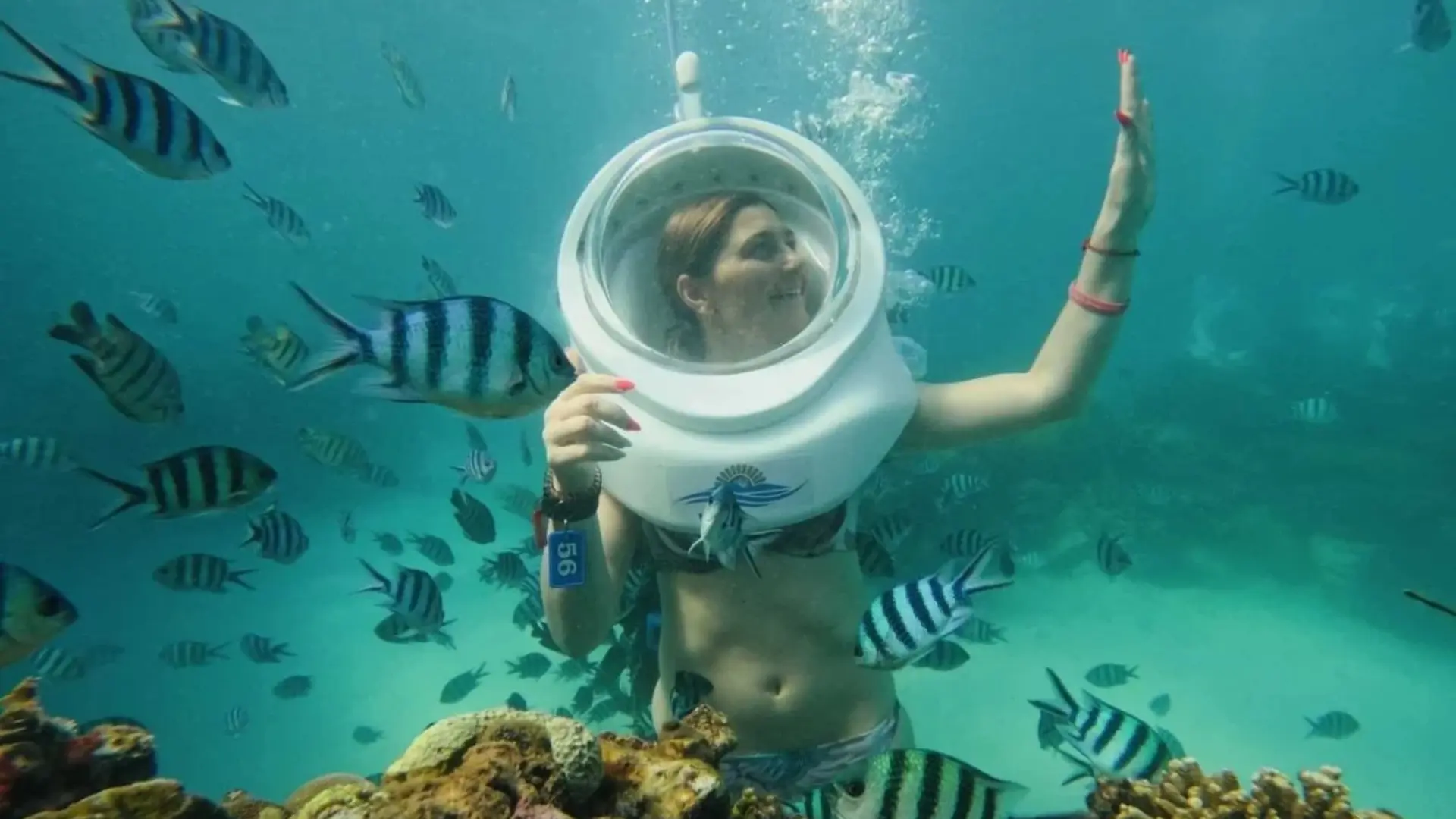 Lặn ngắm san hô ở Gành Dầu