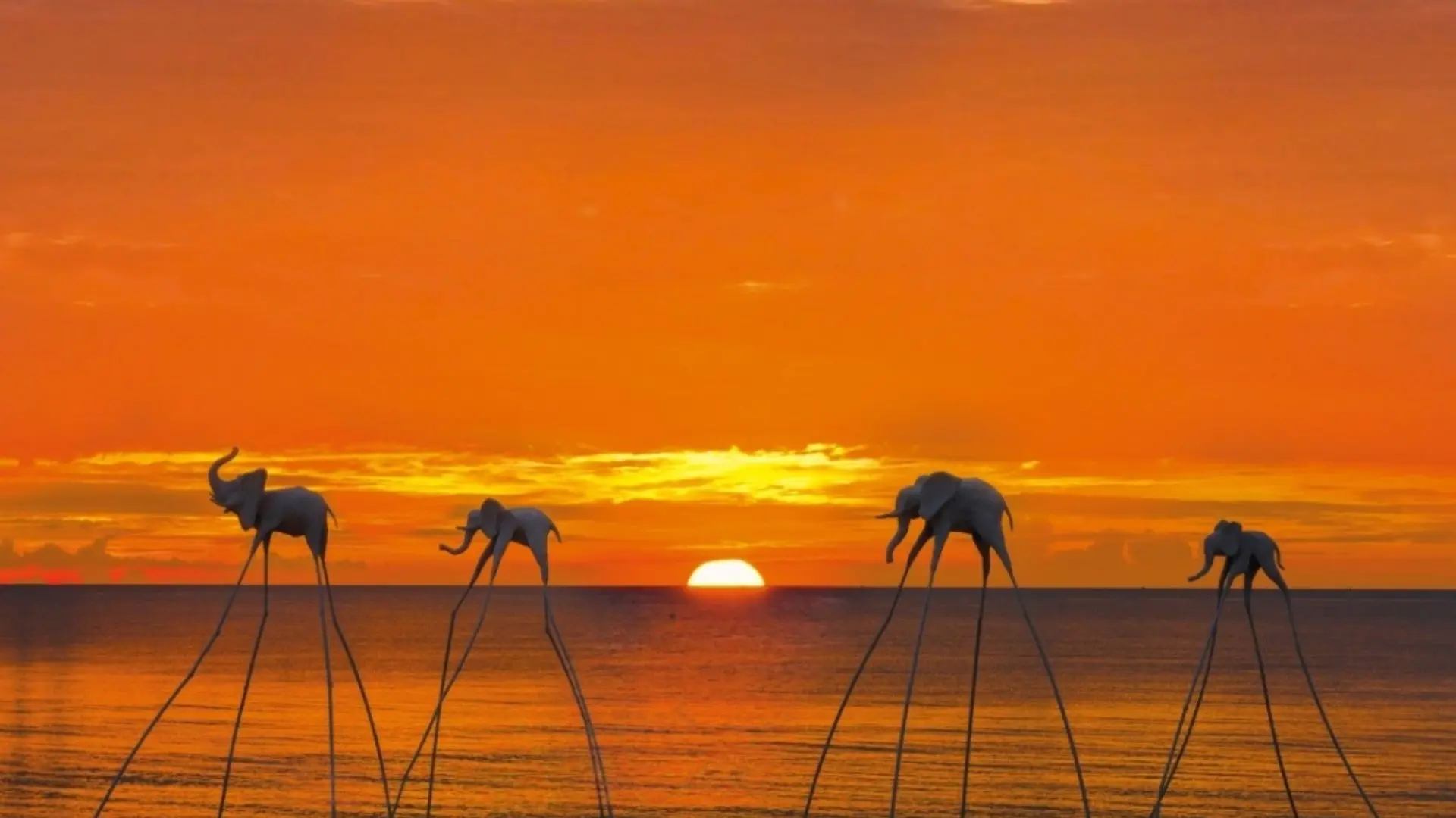 Ngắm hoàng hôn tại Sunset Beach Club