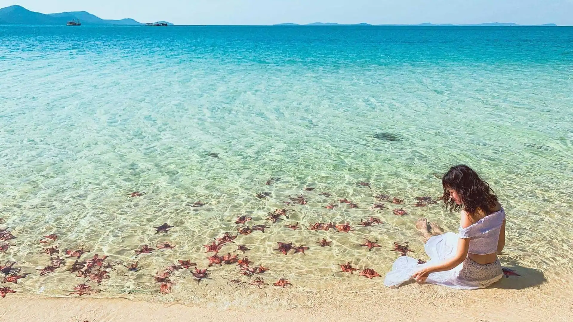 Ngắm sao biển dưới làn trong veo