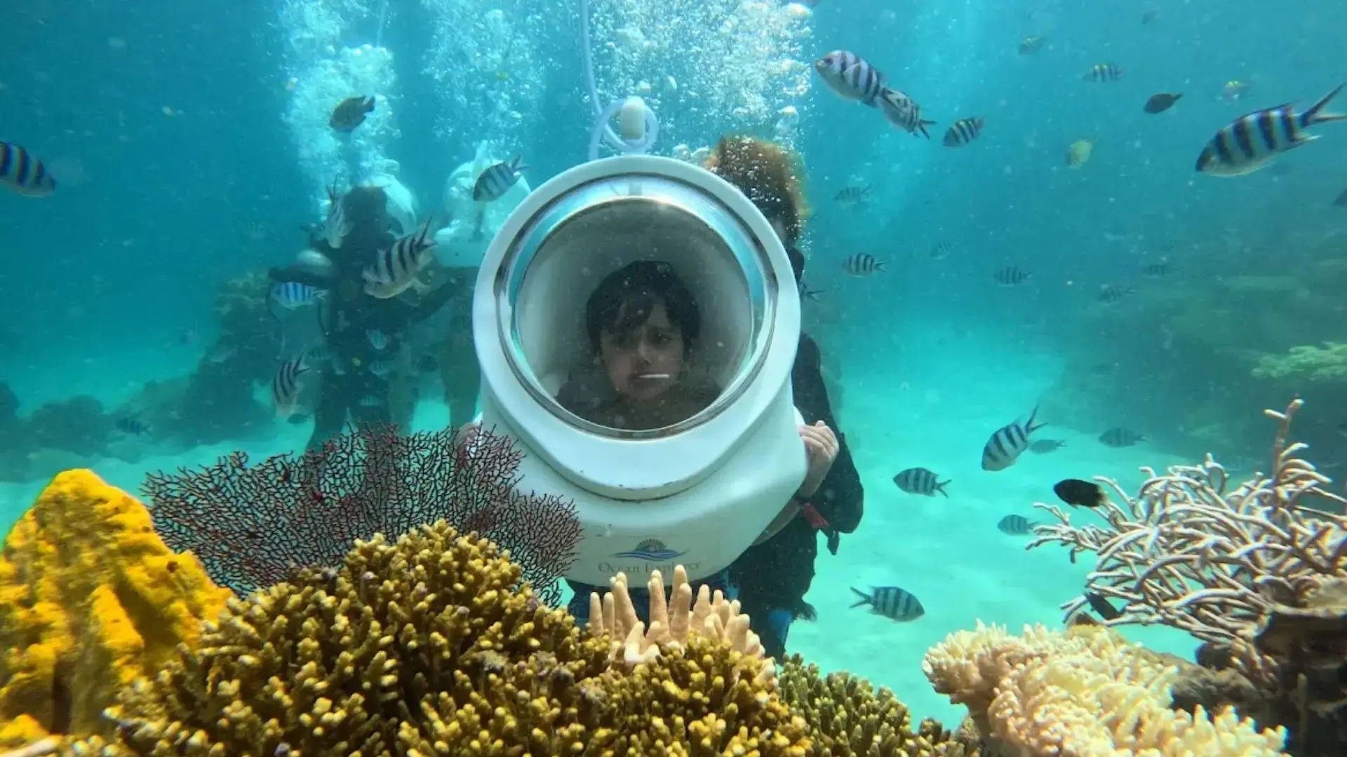 Trải nghiệm lặn ngắm san hô ở Hòn Mây Rút